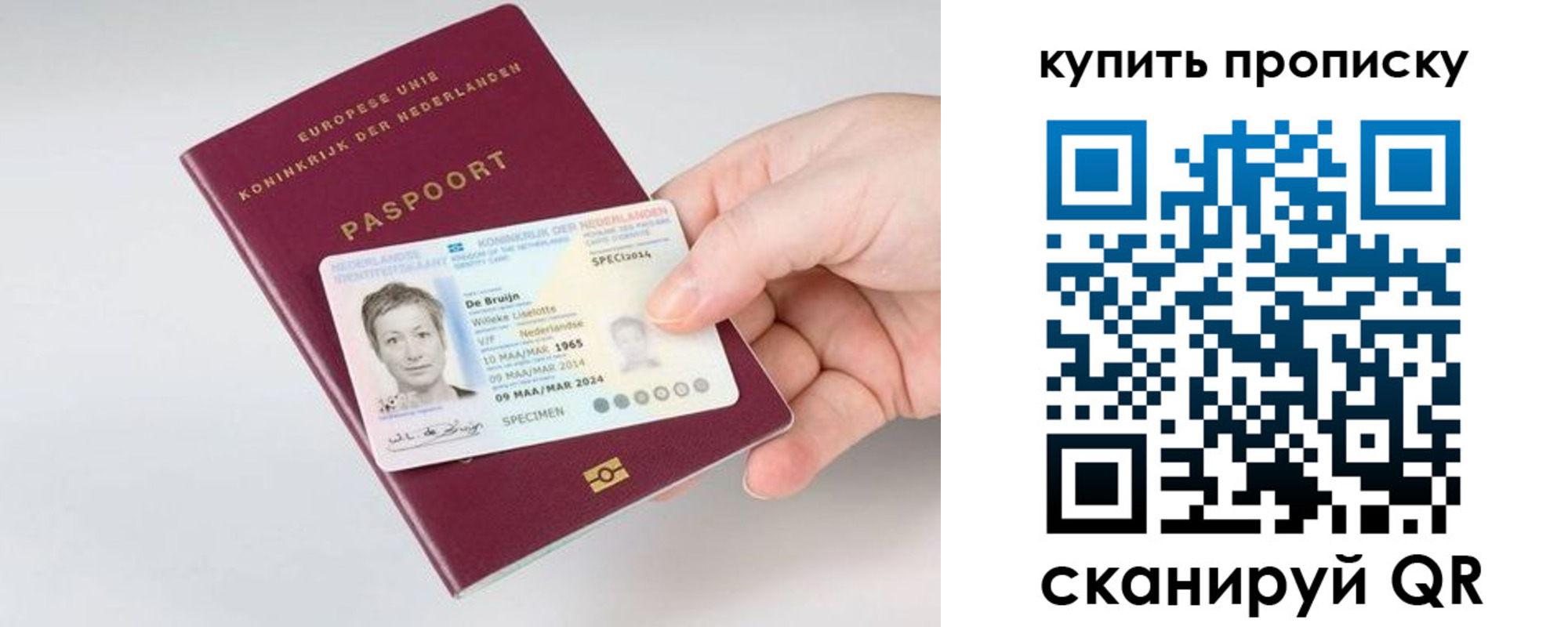прописка для школы в Санкт-Петербурге